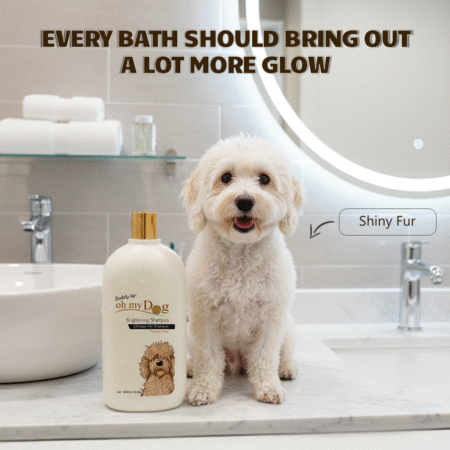 Oh My Dog Brightening Shampoo 1000ml