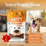 Happy Tummy Daily Dental Chews For Dogs | Pumpkin Flavour (7pcs) | Smartypet Pet Products