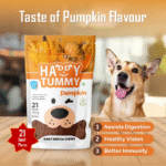 Happy Tummy Pumpkin Flavour Bone Treat for Dogs (21pcs)| Daily Dental Chew for Dogs | Smartypet Pet Products