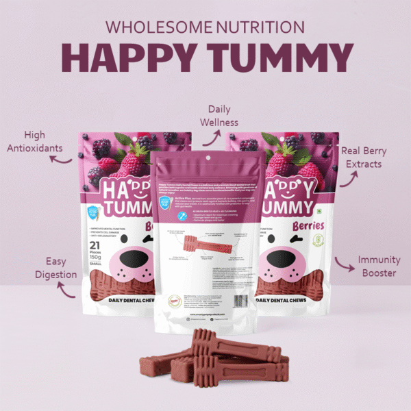 Happy Tummy Berries Flavour Dental Chews (21pcs)